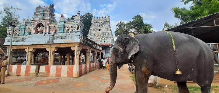 Sri Adimoola Perumal (Gajendravarada Perumal) Temple, Athalanallur — photo 1