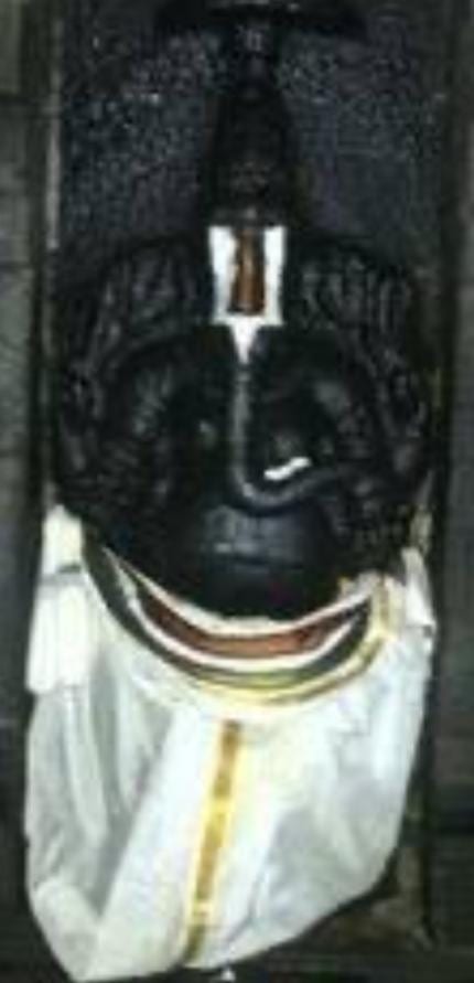 Sri Kanichi Perumal Temple, Kanichi — photo 2