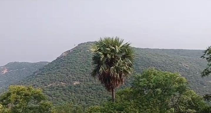 Sri Mangaimalai Perumal Temple, Mangamalai (Devannagavundanur)