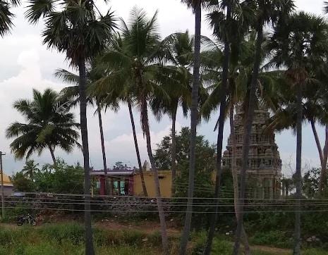 Sri Lakshmi Narayana Perumal Temple, Puthupalayam