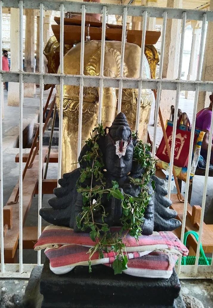 Sri Bhumipalakar Swamy (Kaaysina Vendhan) Temple, Thiruppuliangudi — photo 2